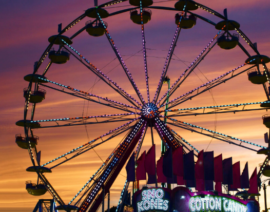 California Dreamin' A Thrill Ride Through the Golden State's Amusement Parks